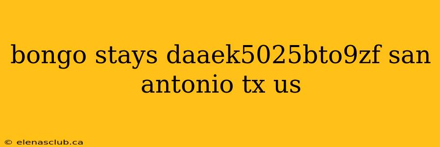 bongo stays daaek5025bto9zf san antonio tx us