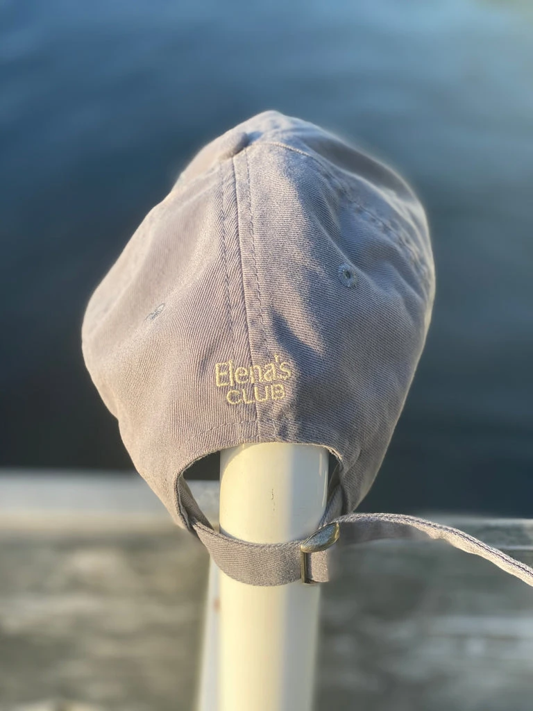 Blueberry Stay in School Hat